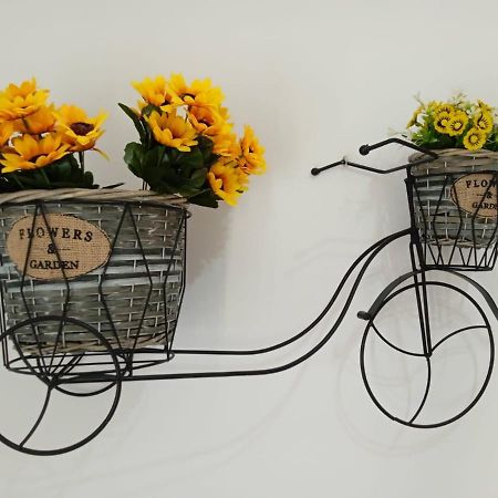 里波尔El Bressol De La Muntanya公寓 外观 照片